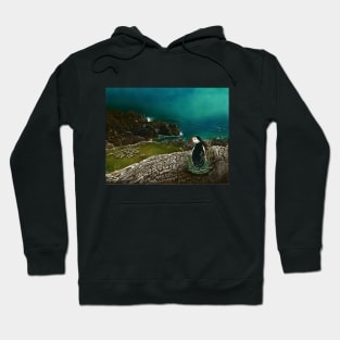 Nestled on the Kerry Coast Hoodie